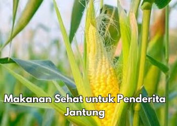 Cek di Sini, Makanan Sehat Ini Bisa Dikonsumsi Penderita Jantung, Apa Saja?