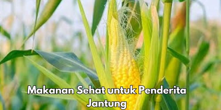 Cek di Sini, Makanan Sehat Ini Bisa Dikonsumsi Penderita Jantung, Apa Saja?