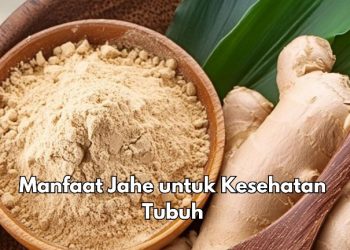 Cukup Manfaatkan Jahe Ini Bisa Meredakan Morning Sickness Bumil, Cek Khasiat Lainnya di Sini