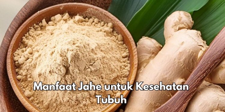 Cukup Manfaatkan Jahe Ini Bisa Meredakan Morning Sickness Bumil, Cek Khasiat Lainnya di Sini