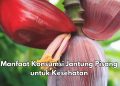 Manfaat Lain Makan Jantung Pisang Sehari-hari, Salah Satunya Ampuh Mencegah Penuaan Dini