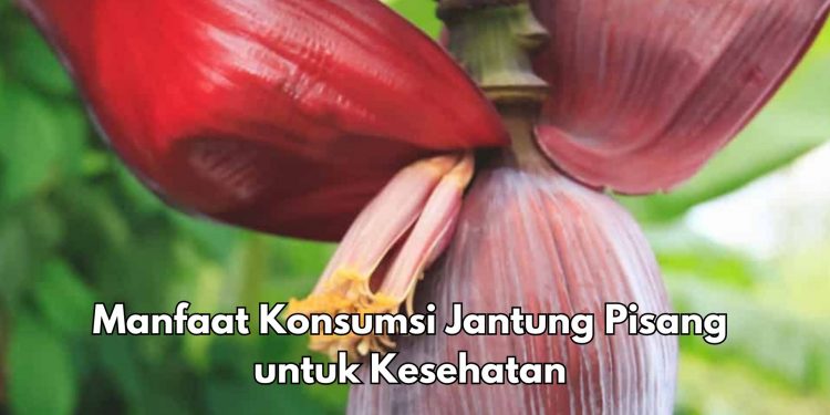 Manfaat Lain Makan Jantung Pisang Sehari-hari, Salah Satunya Ampuh Mencegah Penuaan Dini