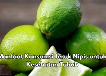 Bisa Mencegah Dehidrasi, Ini 5 Manfaat Konsumsi Jeruk Nipis untuk Kesehatan, Cek di Sini