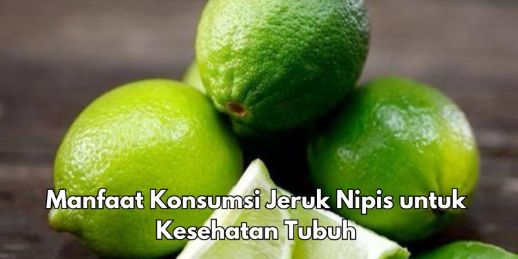 Bisa Mencegah Dehidrasi, Ini 5 Manfaat Konsumsi Jeruk Nipis untuk Kesehatan, Cek di Sini