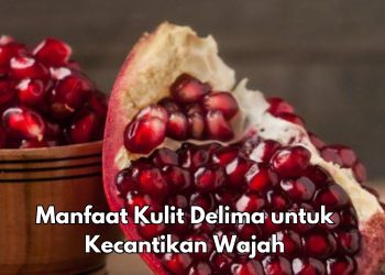Cek 7 Manfaat Kulit Delima yang Jarang diketahui Ini, Ampuh Mencegah Keriput