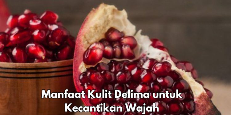 Cek 7 Manfaat Kulit Delima yang Jarang diketahui Ini, Ampuh Mencegah Keriput