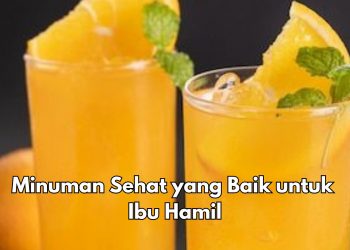 Coba Konsumsi Minuman Ini! Baik untuk Kesehatan Ibu Hamil, Cek Sekarang di Sini