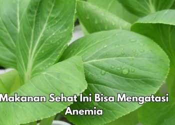 Bisa Mengatasi Anemia, Cukup Rutinkan 6 Makanan Sehat Ini, Ada Sayuran Hijau