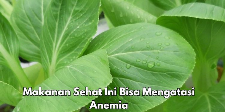 Bisa Mengatasi Anemia, Cukup Rutinkan 6 Makanan Sehat Ini, Ada Sayuran Hijau