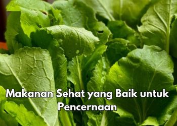Ini 6 Makanan Buat Pencernaan Sehat, Cek di Sini! Salah Satunya Sayuran Hijau