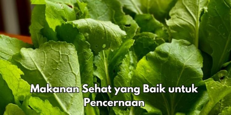 Ini 6 Makanan Buat Pencernaan Sehat, Cek di Sini! Salah Satunya Sayuran Hijau