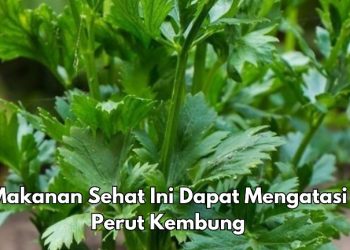 Konsumsi Sekarang! 8 Makanan Ini Dapat Mengatasi Perut Kembung, Apa Saja?