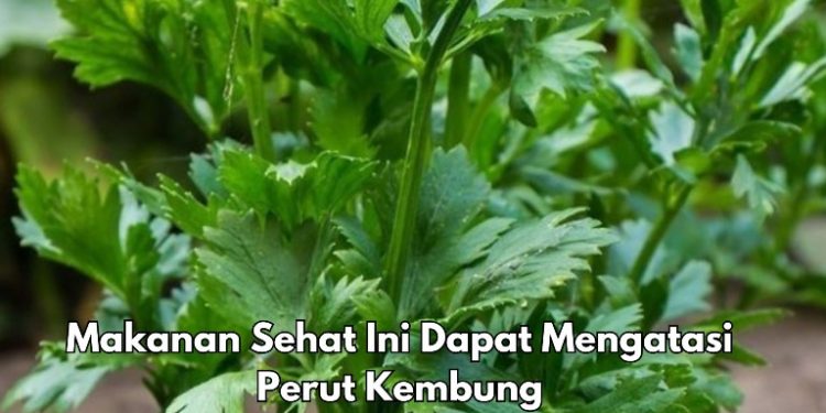 Konsumsi Sekarang! 8 Makanan Ini Dapat Mengatasi Perut Kembung, Apa Saja?