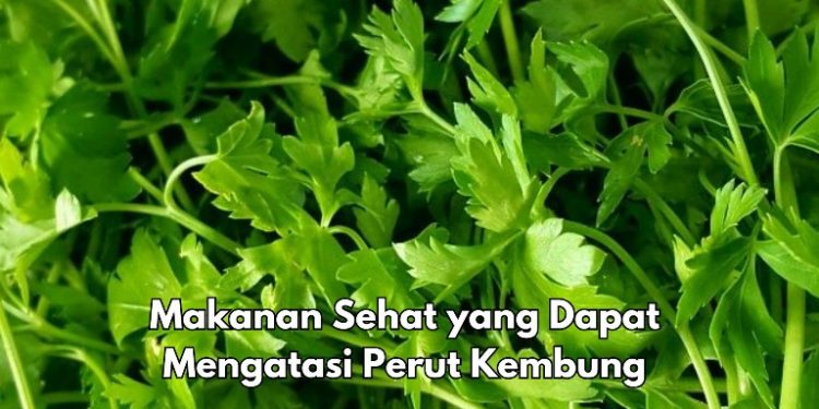 Menyehatkan, 8 Makanan Sehat Ini Baik untuk Perut Kembung, Apa Saja? Salah Satunya Seledri