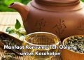 Konsumsi Teh Oolong Sehari-hari, Dipercaya Bisa Meningkatkan Performa Kerja, Cek Manfaat di Sini