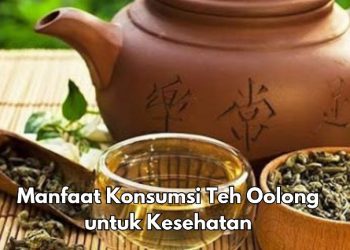 Konsumsi Teh Oolong Sehari-hari, Dipercaya Bisa Meningkatkan Performa Kerja, Cek Manfaat di Sini
