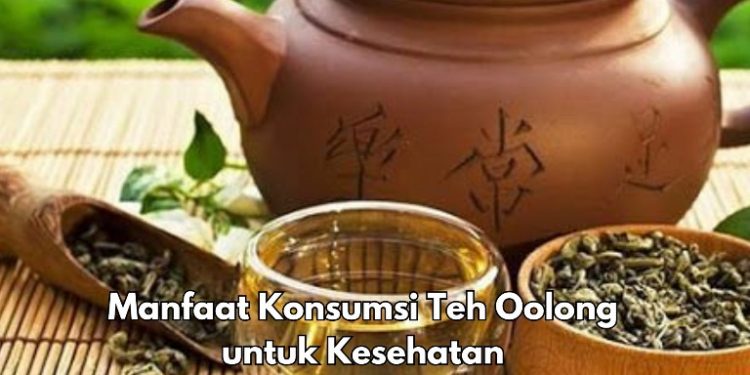 Konsumsi Teh Oolong Sehari-hari, Dipercaya Bisa Meningkatkan Performa Kerja, Cek Manfaat di Sini