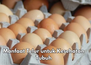 Konsumsi Telur Sehari-hari Baik untuk Mata, Ini 5 Manfaat bagi Kesehatan
