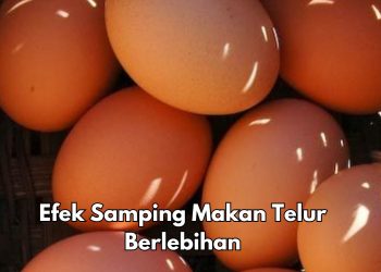 5 Efek Samping Makan Telur Berlebihan, Bisa Memicu Alergi, Cek di Sini