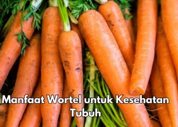 Cek 7 Manfaat Wortel bagi Kesehatan Ini, Salah Satunya Bisa Meningkatkan Penglihatan