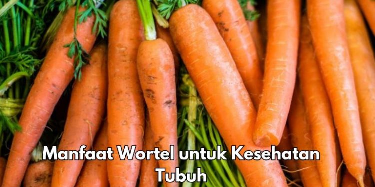 Cek 7 Manfaat Wortel bagi Kesehatan Ini, Salah Satunya Bisa Meningkatkan Penglihatan