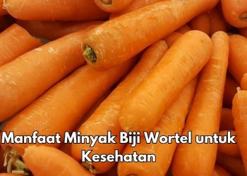 Ini 5 Manfaat Biji Wortel bagi Kecantikan, Bisa Mencegah Kulit dari Infeksi Jamur