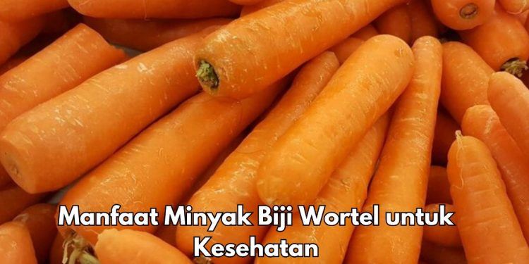 Ini 5 Manfaat Biji Wortel bagi Kecantikan, Bisa Mencegah Kulit dari Infeksi Jamur