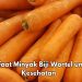 Ini 5 Manfaat Biji Wortel bagi Kecantikan, Bisa Mencegah Kulit dari Infeksi Jamur