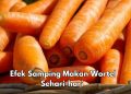 6 Efek Samping Makan Wortel Sehari-hari, Bisa Sebabkan Masalah Perut, Cek Sekarang!