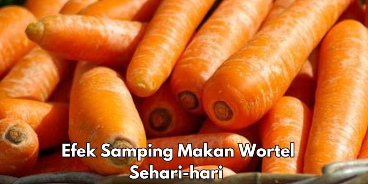 6 Efek Samping Makan Wortel Sehari-hari, Bisa Sebabkan Masalah Perut, Cek Sekarang!