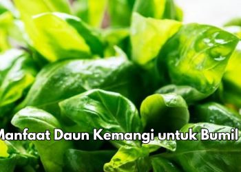 Asal Tidak Berlebihan, Konsumsi Daun Kemangi Bisa Bikin Ibu Hamil Makin Sehat, Cek 7 Manfaat di Sini