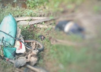 Geger! Warga Lokasi Baru Ditemukan Meninggal Dunia di Perkebunan Sawit