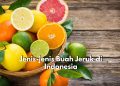 Ini Dia Jenis-jenis Jeruk yang Ada di Indonesia, Ada Jeruk Mandarin hingga Jeruk Kalamansi, Kamu Suka yang Mana?