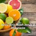 Ini Dia Jenis-jenis Jeruk yang Ada di Indonesia, Ada Jeruk Mandarin hingga Jeruk Kalamansi, Kamu Suka yang Mana?