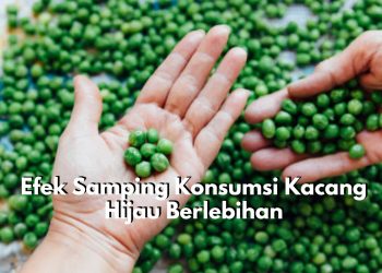 Jangan di Skip! Ini Dia Efek Samping Konsumsi Kacang Hijau Secara Berlebihan, Memicu Alergi hingga Infeksi Bakteri