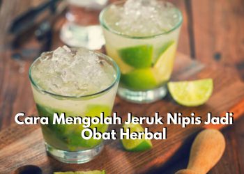 Kerap Dijadikan Obat Tradisional, Berikut Ini Ada 5 Cara yang Bisa Kamu Coba Dirumah untuk Mengolah Jeruk Nipis