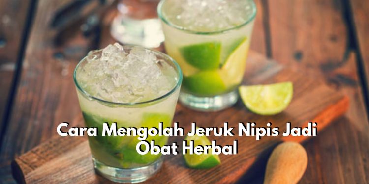 Kerap Dijadikan Obat Tradisional, Berikut Ini Ada 5 Cara yang Bisa Kamu Coba Dirumah untuk Mengolah Jeruk Nipis