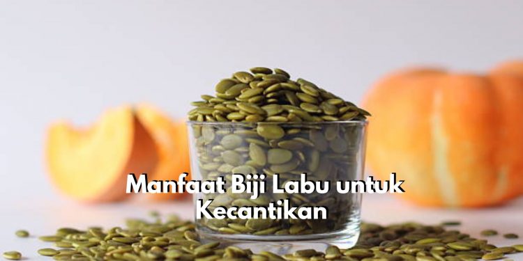 Baik untuk Kesehatan Kulit hingga Rambut, Inilah Manfaat Tersembunyi Biji Labu Bagi Dunia Kecantikan