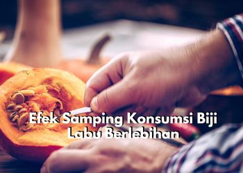 Berbahaya Bagi Kesehatan! Cek Disini Efek Samping Konsumsi Biji Labu Berlebihan, Memicu Gangguan Pencernaan