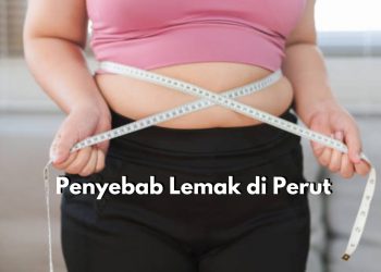 Kenali Mulai dari Sekarang! Inilah 5 Penyebab Utama Terjadinya Penumpukan Lemak di Perut, Salah Satunya Stres