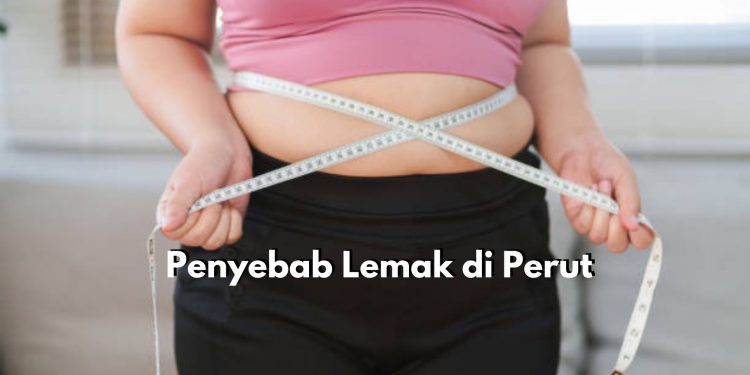 Kenali Mulai dari Sekarang! Inilah 5 Penyebab Utama Terjadinya Penumpukan Lemak di Perut, Salah Satunya Stres