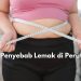 Kenali Mulai dari Sekarang! Inilah 5 Penyebab Utama Terjadinya Penumpukan Lemak di Perut, Salah Satunya Stres