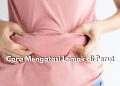 Lemak di Perut Bikin Percaya Diri Berkurang? Coba Atasi dengan 6 Cara Sederhana Ini, Mulailah Terapkan Pola Makan Sehat