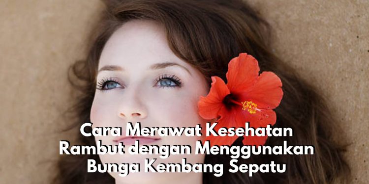 Begini Cara Merawat Kesehatan Rambut dengan Menggunakan Bunga Kembang Sepatu, Bisa Jadi Kondisioner