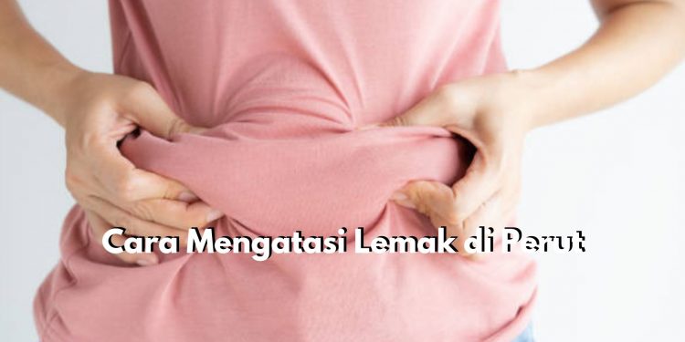 Lemak di Perut Bikin Percaya Diri Berkurang? Coba Atasi dengan 6 Cara Sederhana Ini, Mulailah Terapkan Pola Makan Sehat