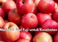 8 Manfaat Apel Fuji untuk Kesehatan, Bagus Dikonsumsi Setiap Hari