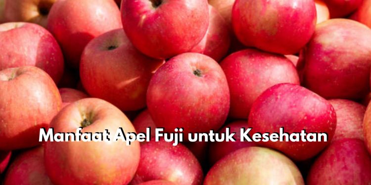 8 Manfaat Apel Fuji untuk Kesehatan, Bagus Dikonsumsi Setiap Hari