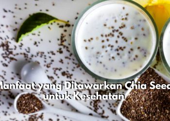 7 Manfaat yang Ditawarkan Chia Seed untuk Kesehatan, Tertarik Konsumsi?