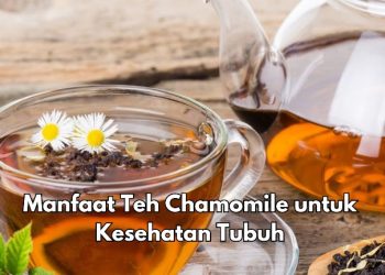 Cek Sekarang! Manfaat Lain Teh Chamomile bagi Tubuh, Dipercaya Dapat Meredakan Haid