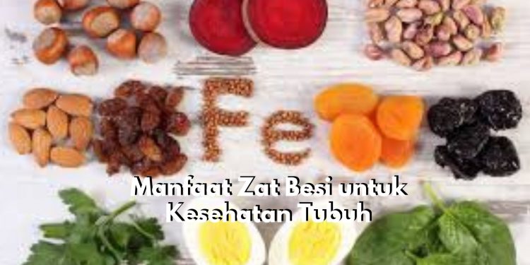 Zat Besi yang Terpenuhi dapat Berikan Manfaat Istimewa Bagi Kesehatan, Salah Satunya Atasi Anemia